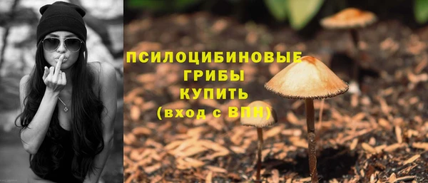 apvp Пересвет
