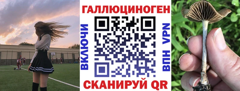 Галлюциногенные грибы MAGIC MUSHROOMS  блэк спрут зеркало  Нижняя Тура  наркошоп 